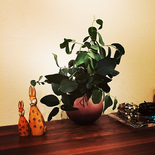 amikoさんの実例写真