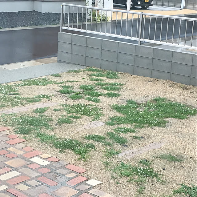 sa_yaさんの実例写真