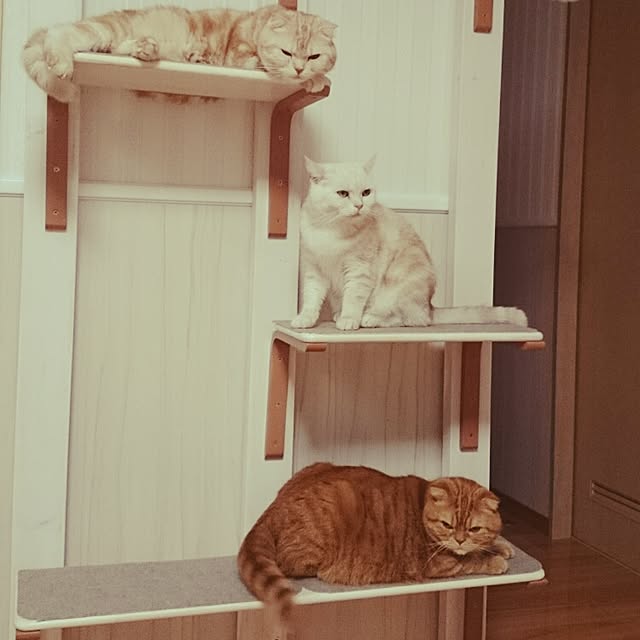 hanahanaさんの実例写真