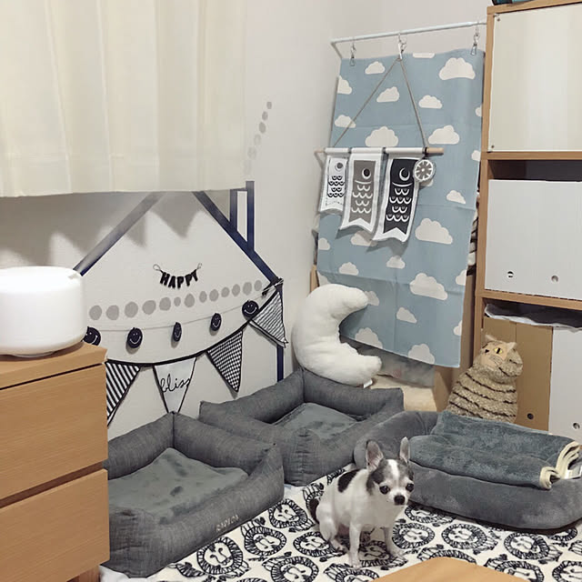 Emiさんの実例写真