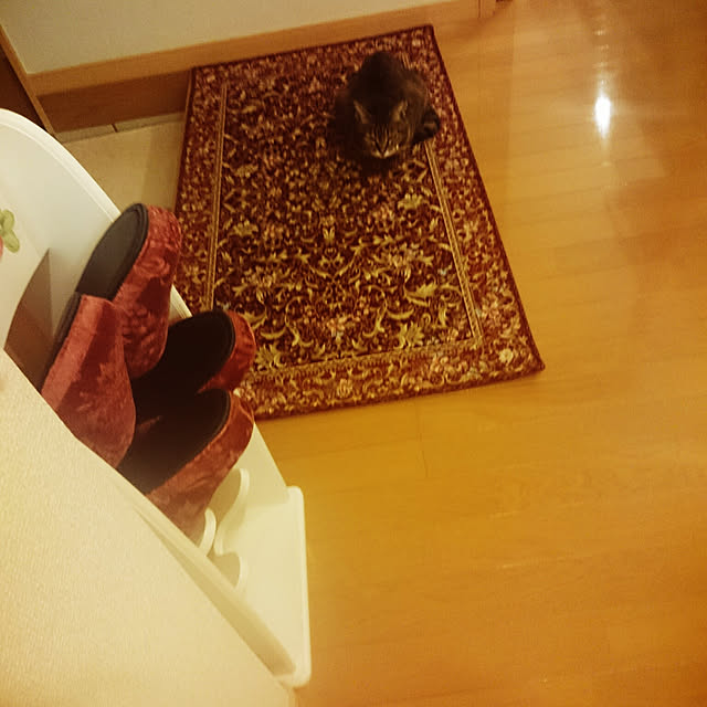 lilyさんの実例写真