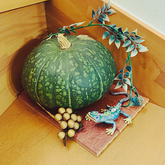 kochimaruさんの実例写真