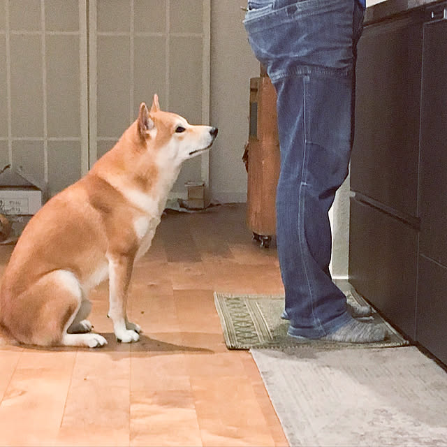 diez_taraさんの実例写真