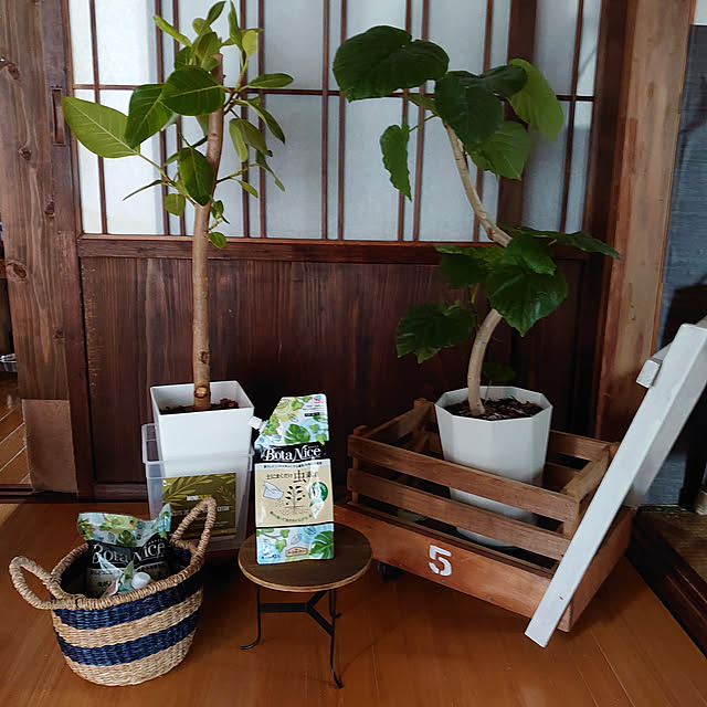 fukuさんの実例写真