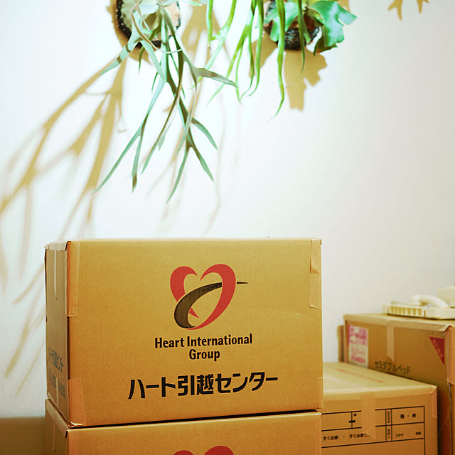 jibunさんの部屋