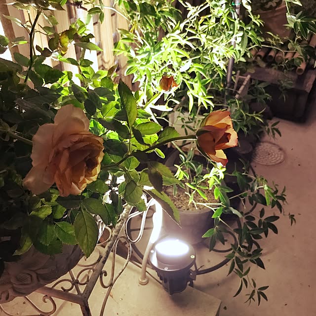 実例写真
