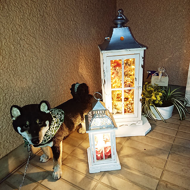 tsutawarimasuさんの実例写真