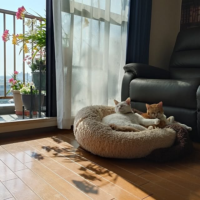 NOAHさんの部屋
