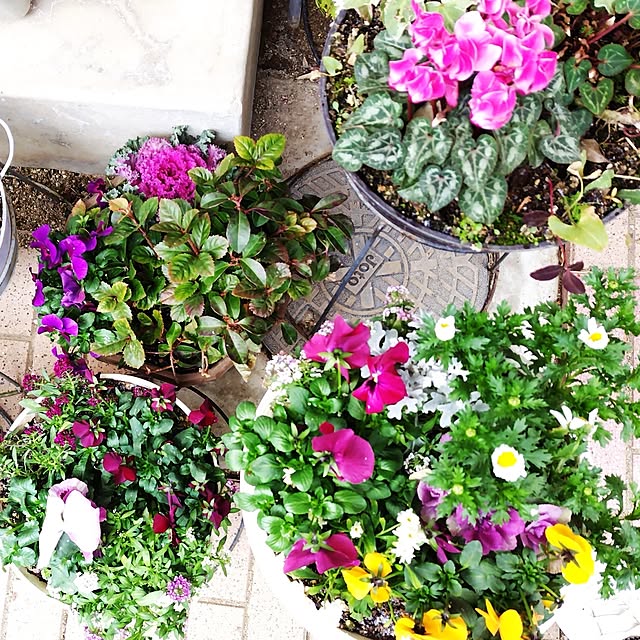 katさんの実例写真