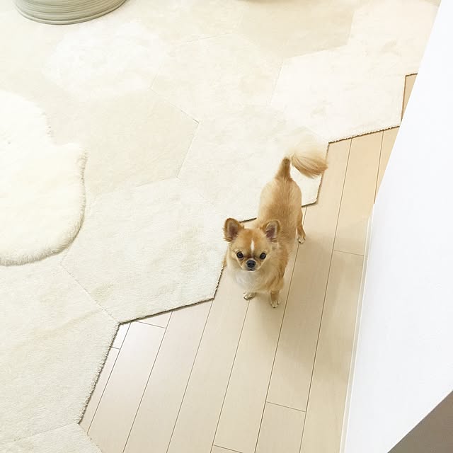 haruhinaさんの実例写真