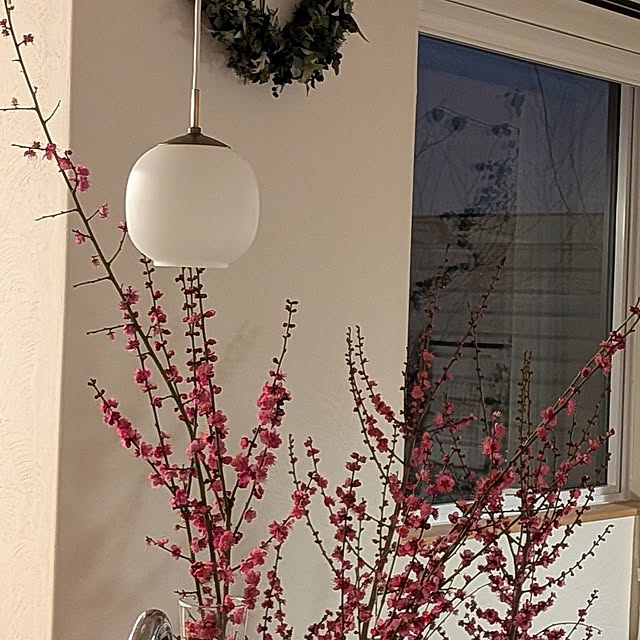 nolleyさんの部屋