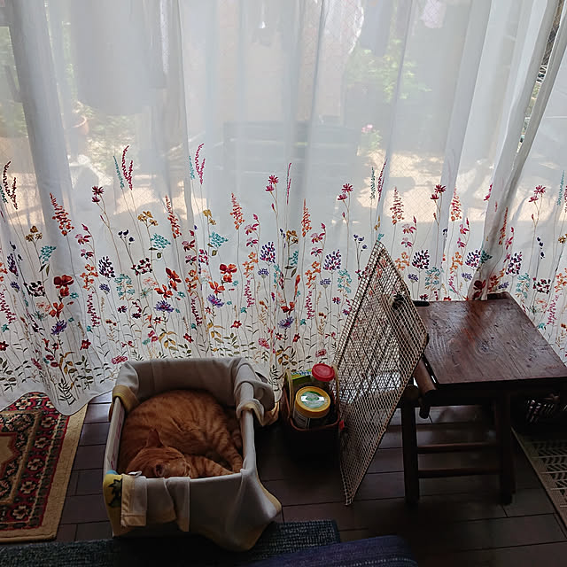 okyosan101さんの実例写真