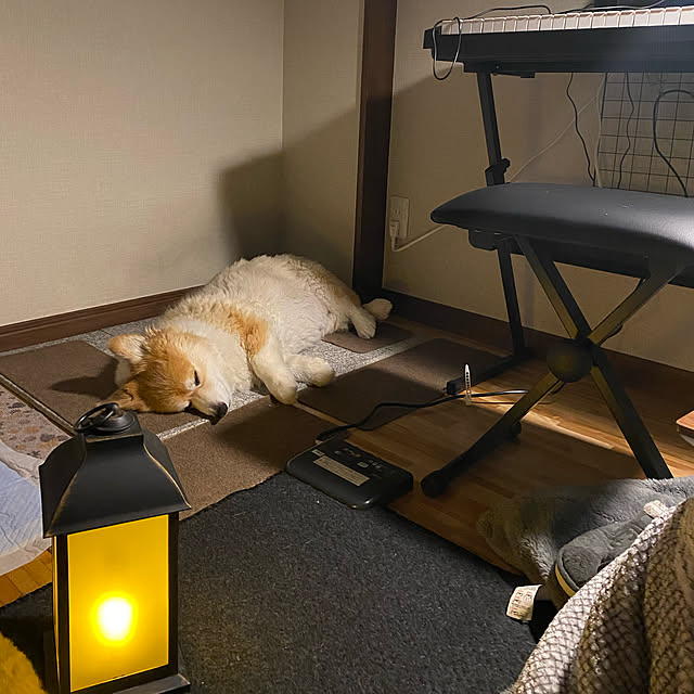 komomo9.18さんの実例写真