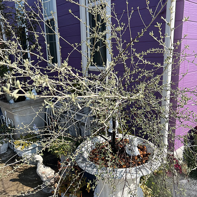 AYUKOさんの部屋