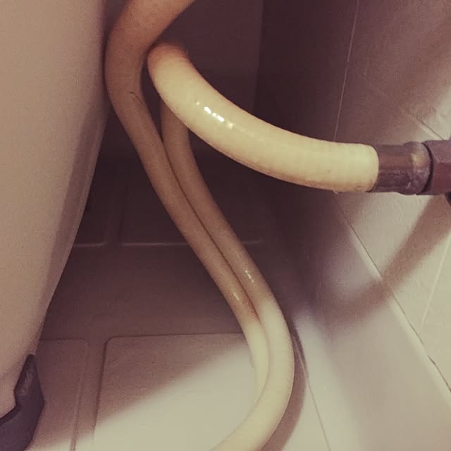 mamさんの実例写真