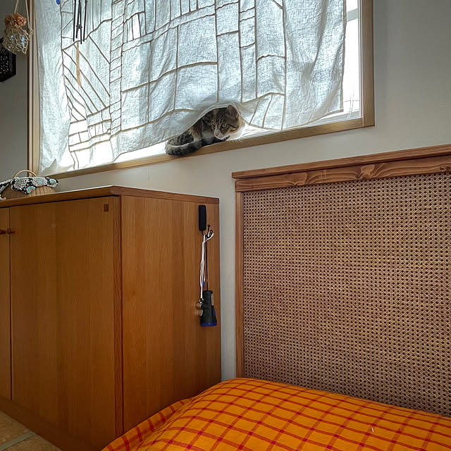 nobikoさんの部屋