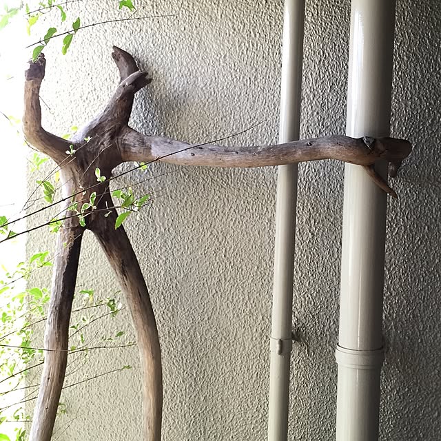 ecoformさんの実例写真