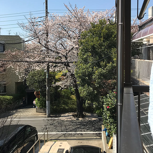 masakoさんの実例写真