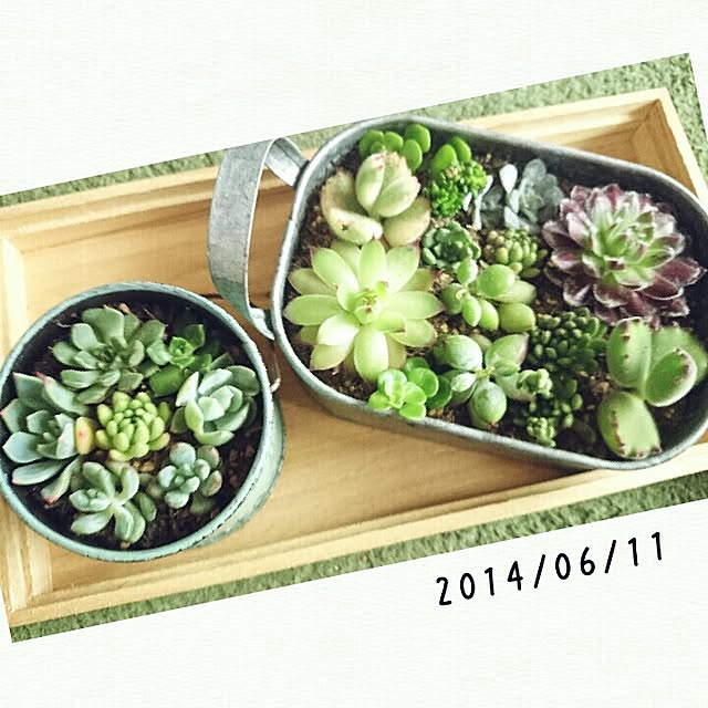 kira127さんの実例写真