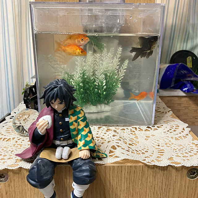 ペットと暮らす/100均/金魚/こどもと暮らす/リビングのインテリア実例 - 2023-08-10 12:15:30