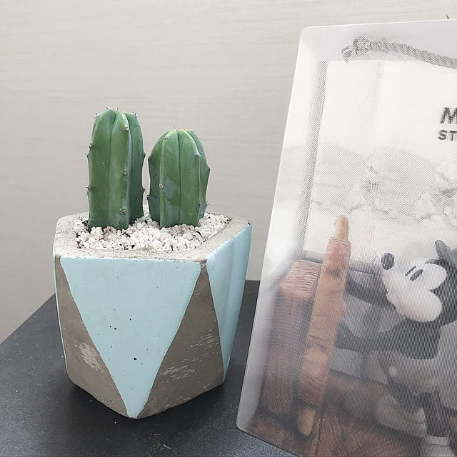 craneさんの実例写真