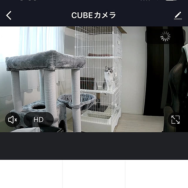 cotoriさんの実例写真