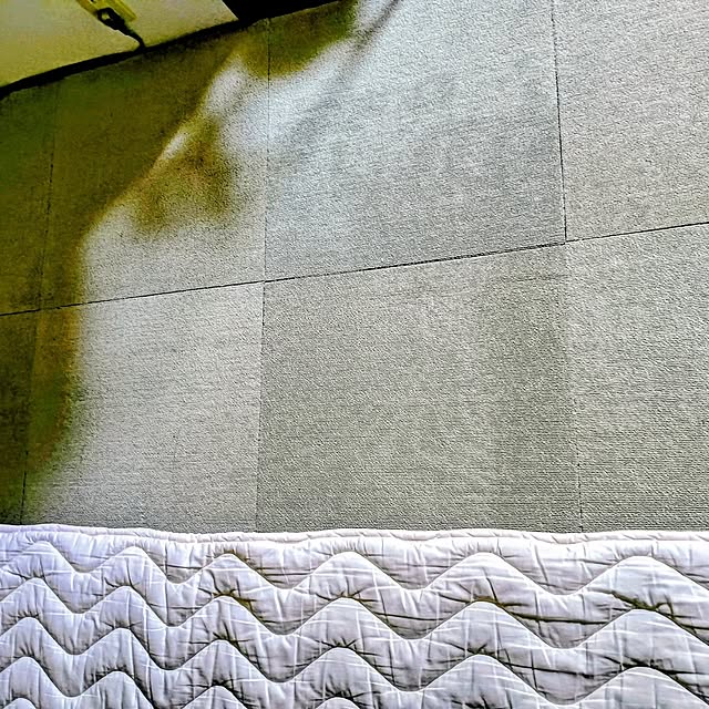 hanachanさんの部屋