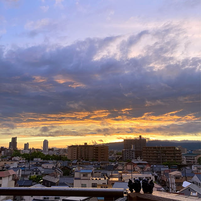 simple_blowbackさんの実例写真