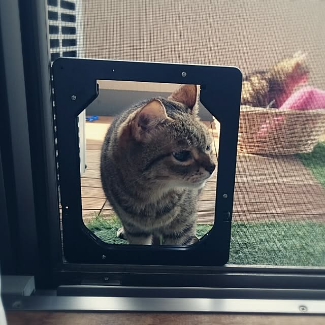 kokesatoさんの実例写真