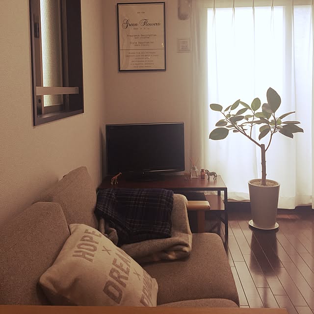 halkokoさんの実例写真