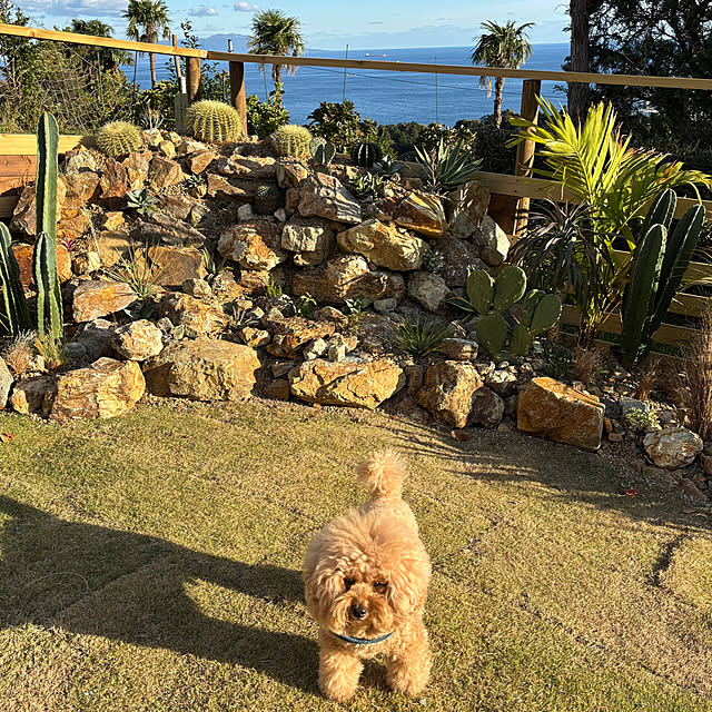 bonjiri0824さんの実例写真