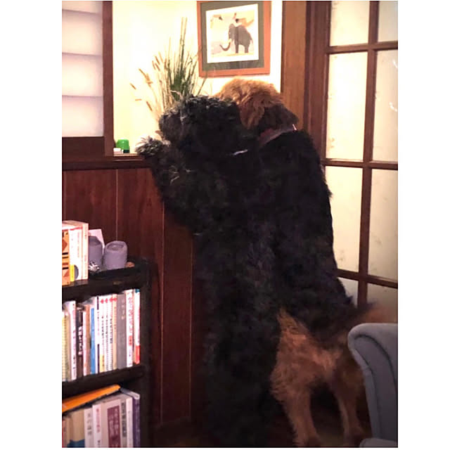 riettaさんの実例写真