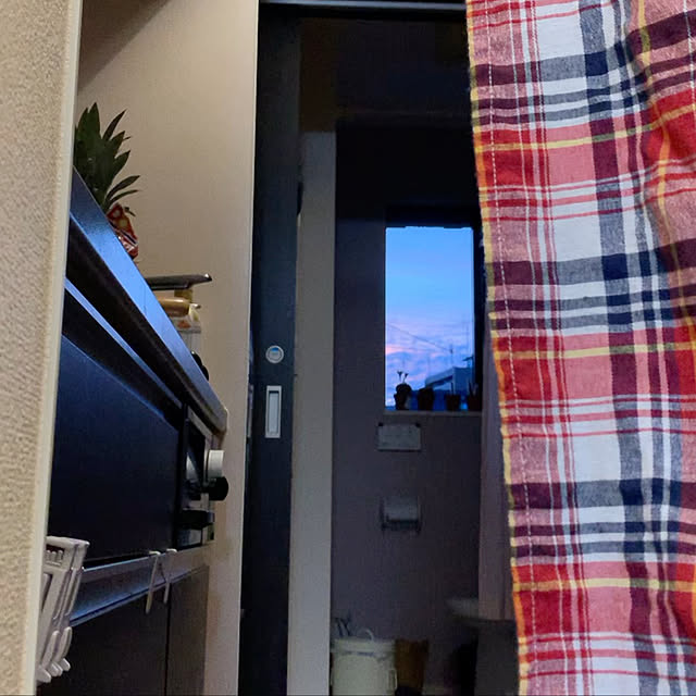 Yoyoさんの実例写真