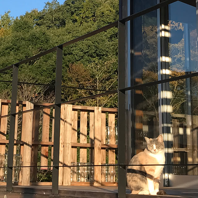 sakurasakuさんの実例写真