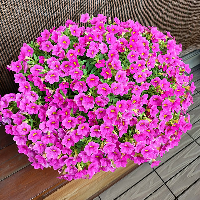 VERANDARJUNさんの実例写真