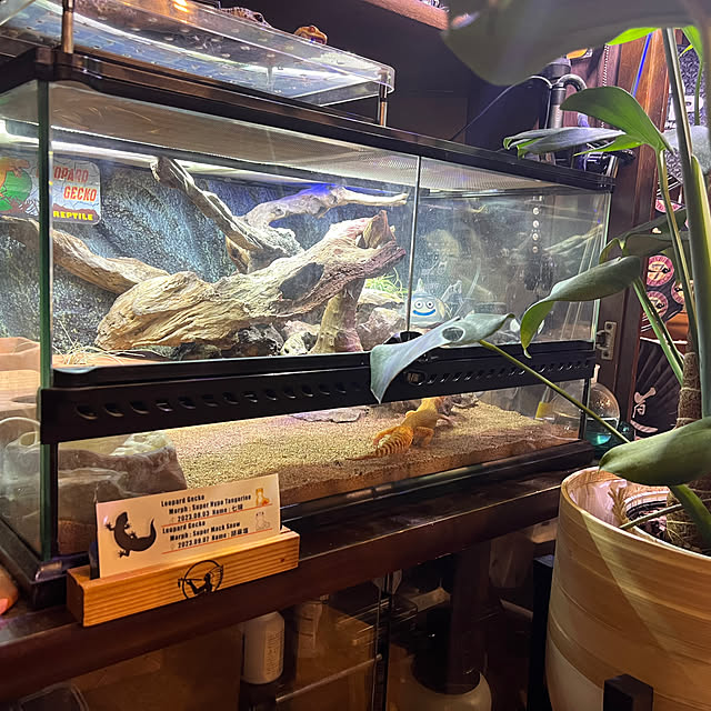 hikoさんの実例写真