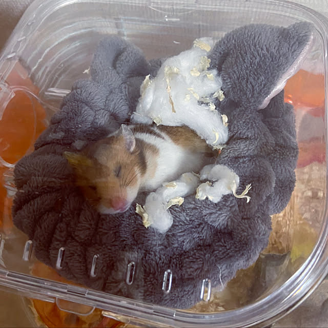 n.comさんの実例写真