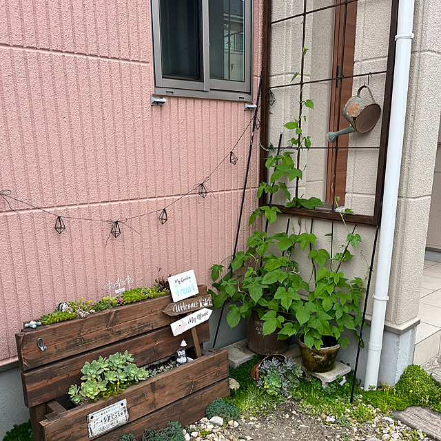 pekoさんの部屋