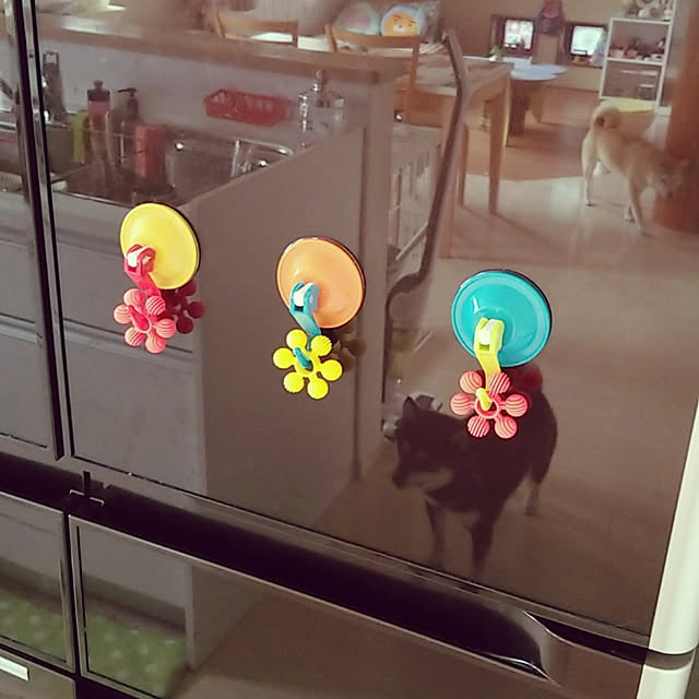 JUNさんの実例写真