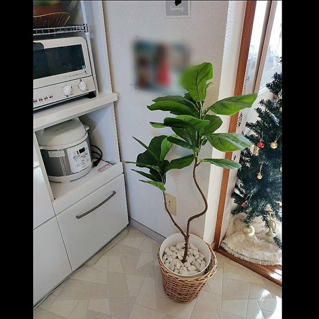 Tさんの実例写真