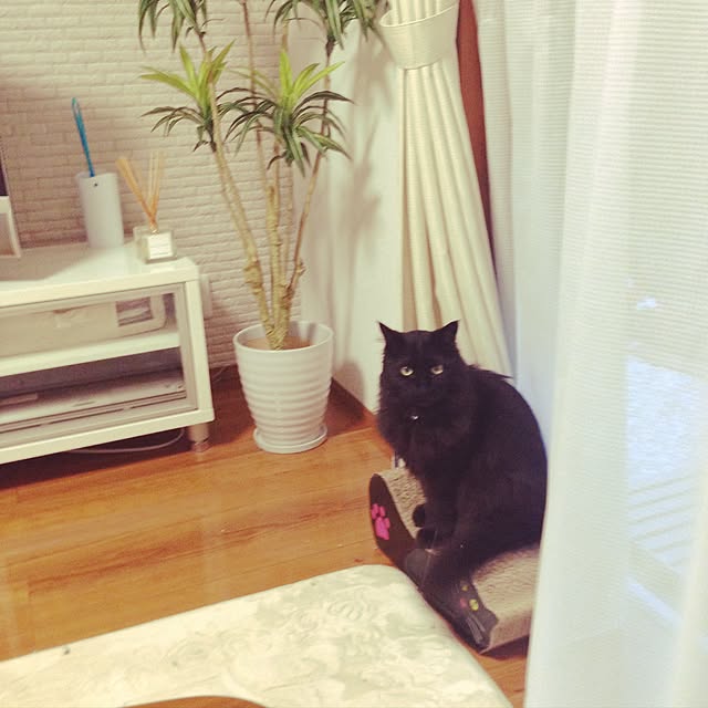 minamiさんの実例写真