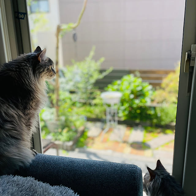 mayumiさんの実例写真