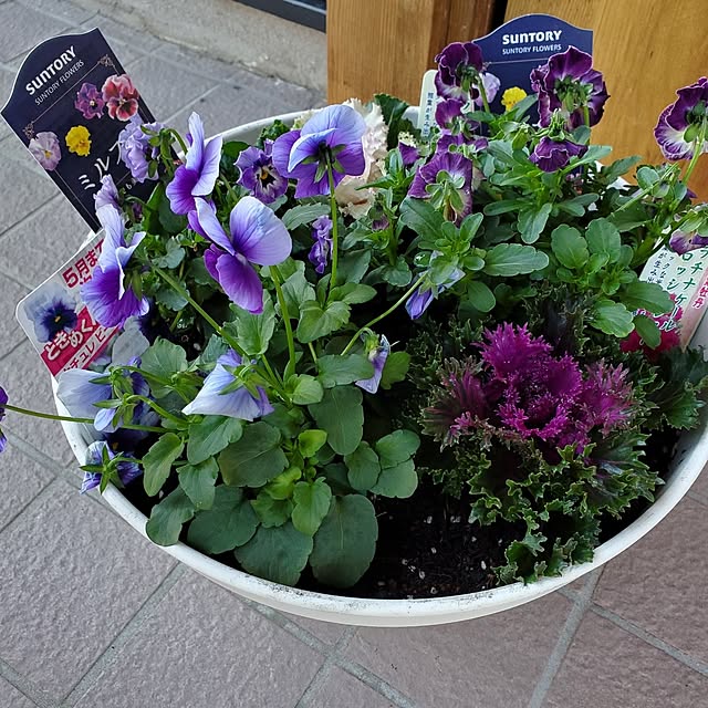 maimaiさんの実例写真