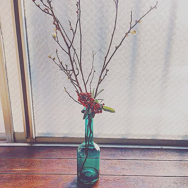 oneEさんの実例写真