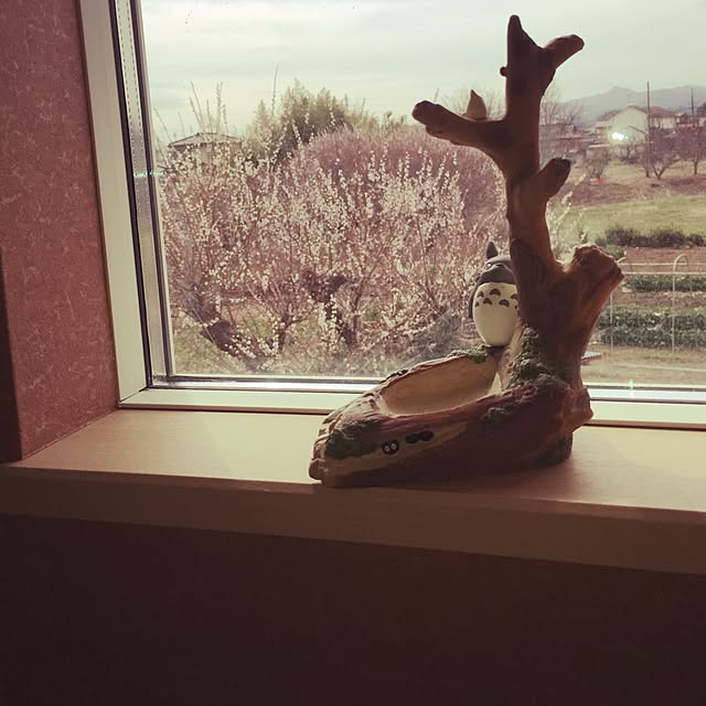 ms1016さんの実例写真