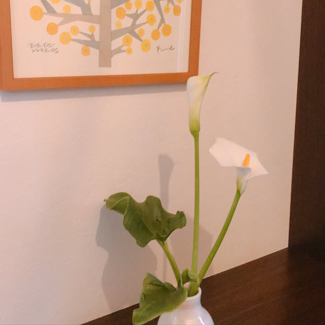 Momooさんの実例写真