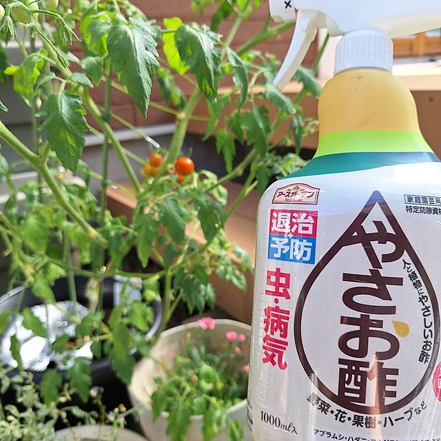 Blancheさんの部屋