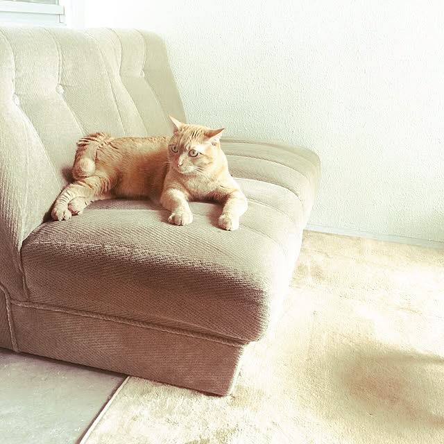 Meさんの実例写真