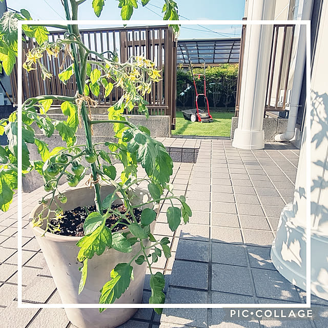 +CHIHARU+さんの実例写真