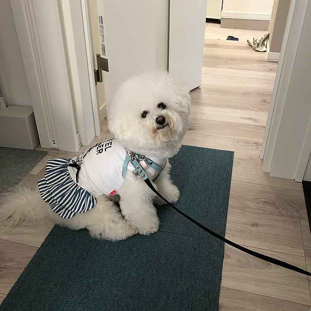 unichanさんの実例写真